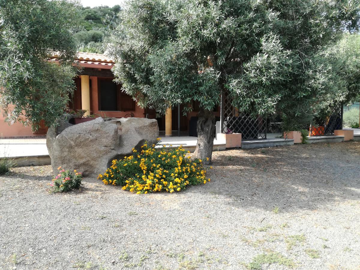 Bed and Breakfast Sumindulau Torre delle Stelle Zewnętrze zdjęcie